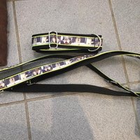 Hundehalsband und Leine